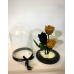 Beauty And The Beast Triple With Black And Gold Roses Campana